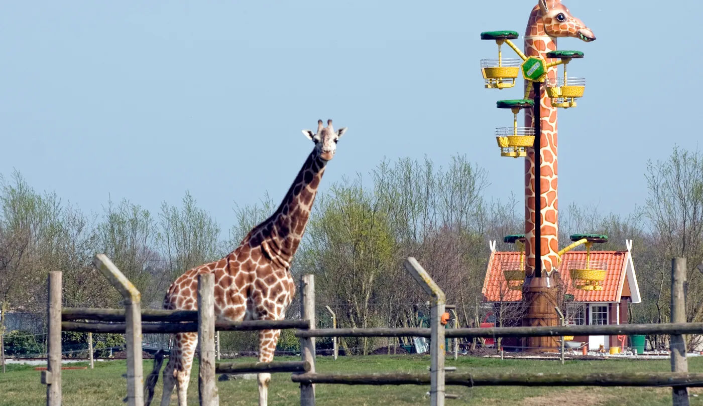 Sample image Flying Wheels 1