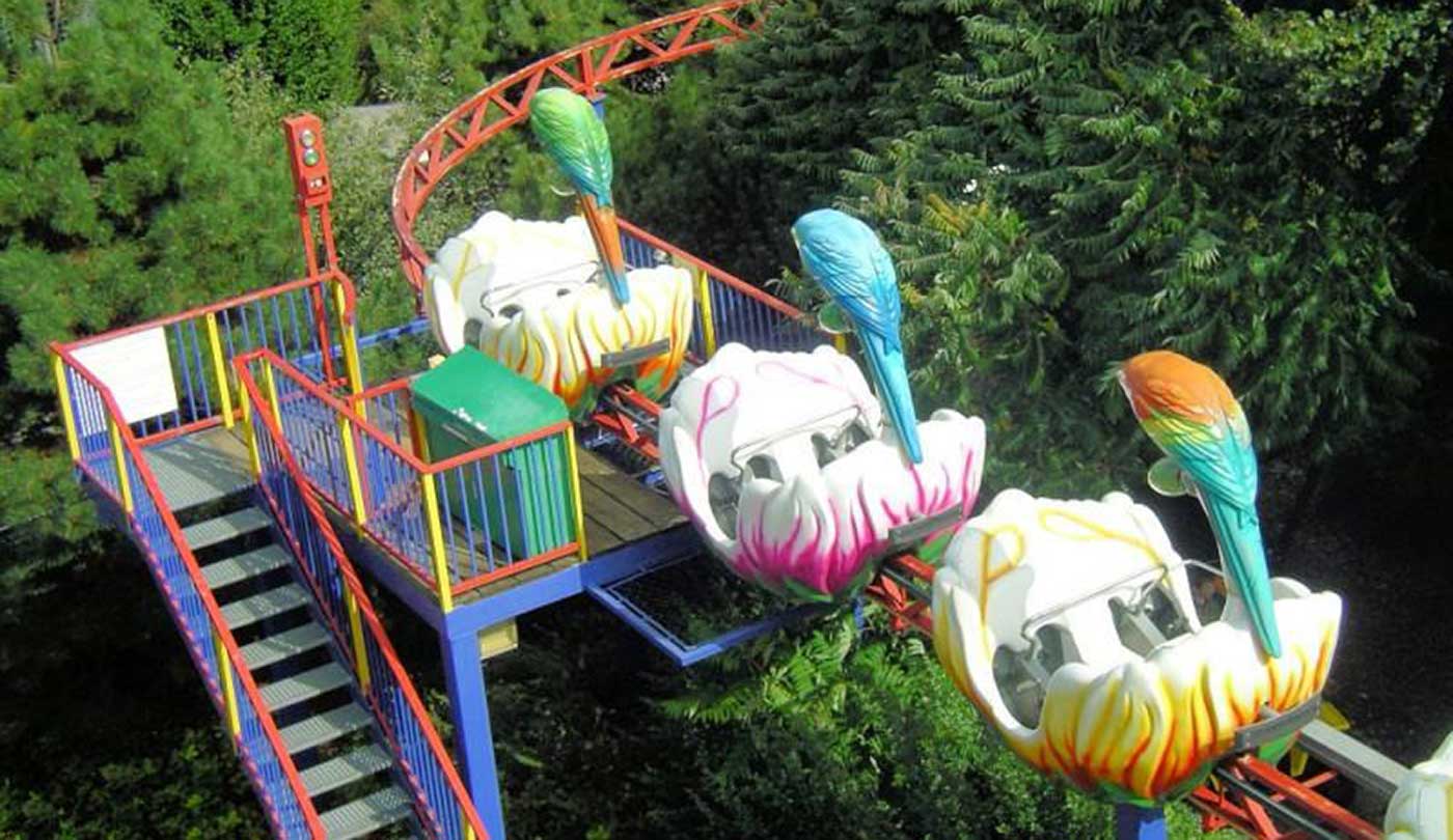 Example image Pedal Monorail 3