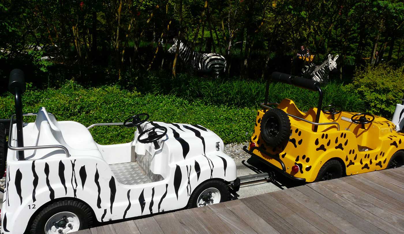 Beispielbild Mini Safari Jeep 2