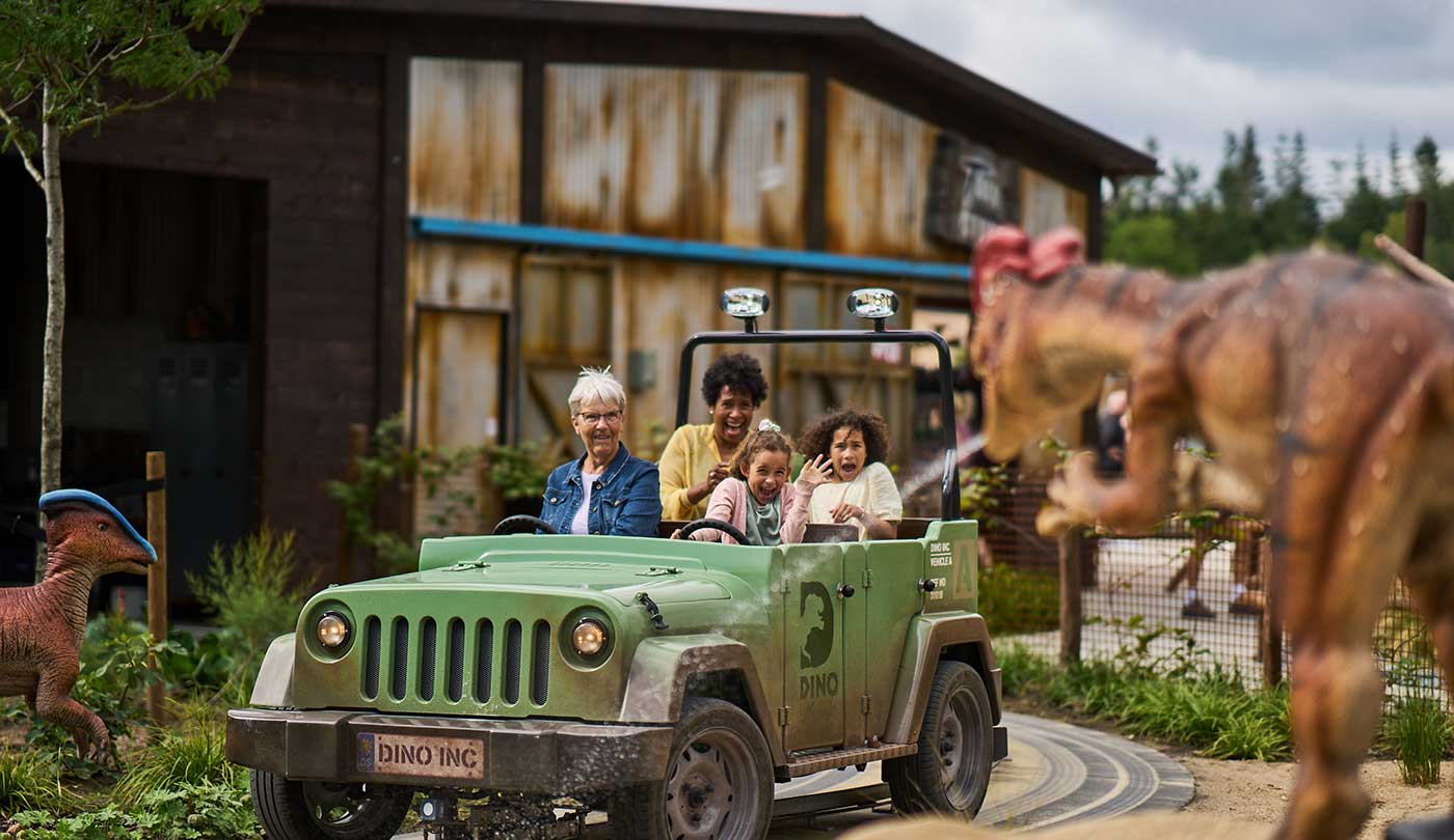 Beispielbild Safari Jeep 2