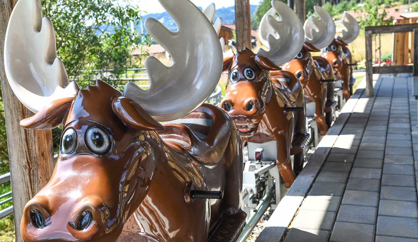 Beispielbild Reitbahn 1