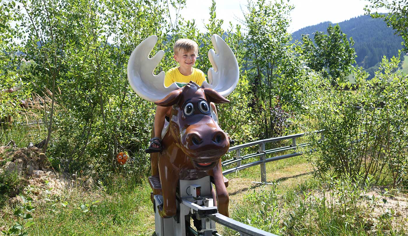 Beispielbild Reitbahn 2